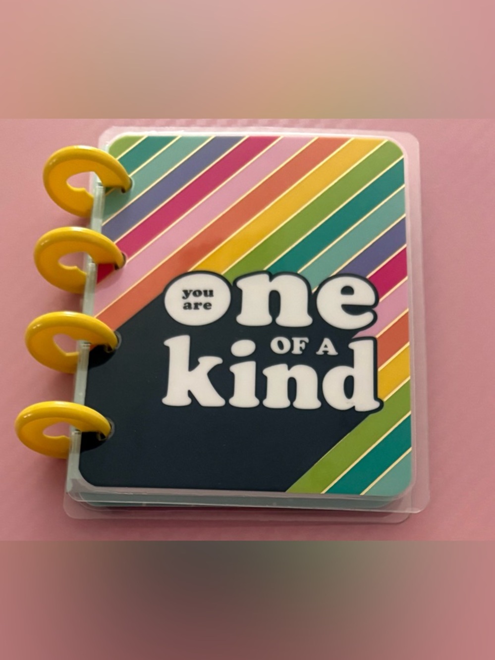 The Happy Planner Micro notebook rainbow